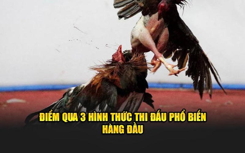 Điểm qua 3 hình thức thi đấu phổ biến hàng đầu