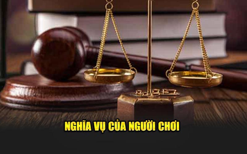 Nghĩa vụ của người chơi
