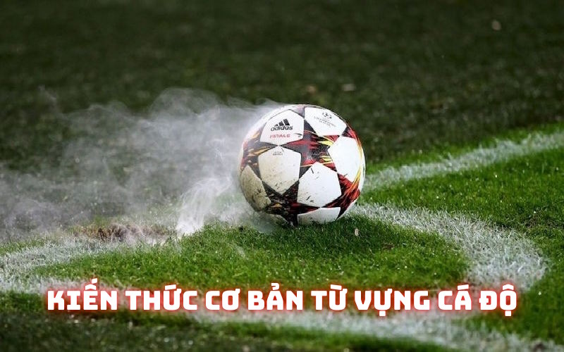 Thuật ngữ cá độ bóng đá kiến thức cơ bản